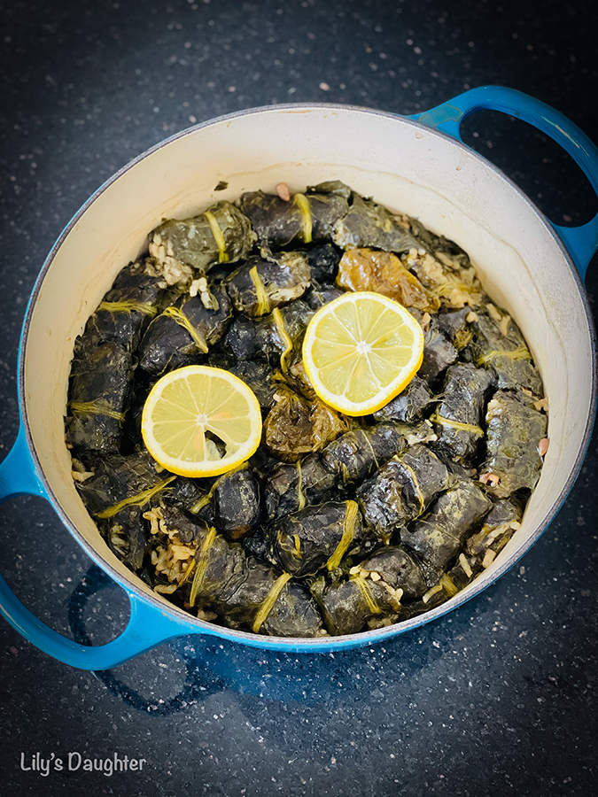 Dolma, dock, and vine leaves stuffed with rice and herbs